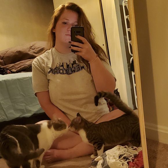 Meet your Posher, Rowan - Picture 1 of 1